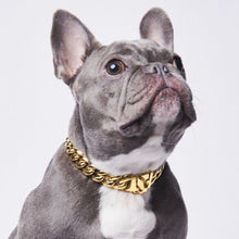 Dog Chains - Gold Cuban Leash 20mm - Gold