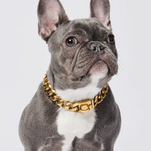 Dog Chains - Gold Cuban Leash 20mm - Gold